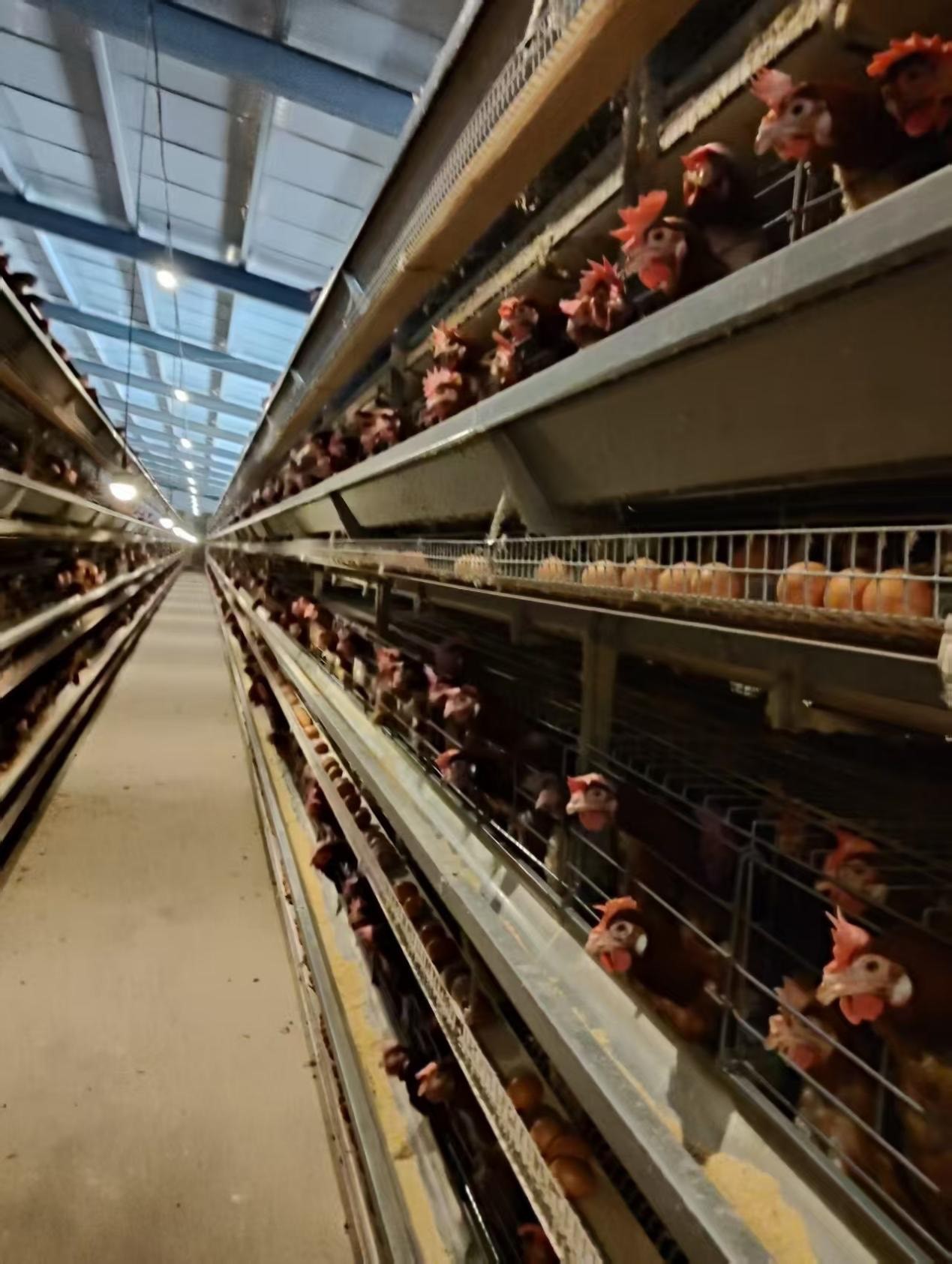 日照市莒县案例